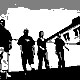 Wir